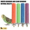 s-l140-1722.webp Bird Perch – Beak & Claw Trimming Perch for Parrots, Parakeets, Budgies, Conures