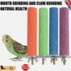 s-l140-1734.webp Bird Perch – Beak & Claw Trimming Perch for Parrots, Parakeets, Budgies, Conures