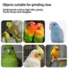 s-l140-1748.webp Bird Perch – Beak & Claw Trimming Perch for Parrots, Parakeets, Budgies, Conures