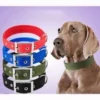 s-l140-1766.webp Solid Nylon Dog Collar Adjustable for Small Medium Large Dogs