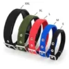 s-l140-1768.webp Solid Nylon Dog Collar Adjustable for Small Medium Large Dogs