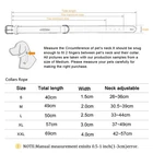 s-l140-1769.webp Solid Nylon Dog Collar Adjustable for Small Medium Large Dogs