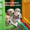 s-l140-1775.webp 5pcs Puppy ID Collars Assorted Colors Whelping Collars Newborn Dog Kittens Band
