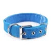 s-l140-1782.webp Solid Nylon Dog Collar Adjustable for Small Medium Large Dogs