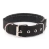 s-l140-1783.webp Solid Nylon Dog Collar Adjustable for Small Medium Large Dogs