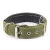 s-l140-1785.webp Solid Nylon Dog Collar Adjustable for Small Medium Large Dogs