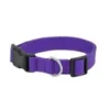 DOG COLLAR NYLON BASIC DOG COLLAR WITH BUCKLE FOR XS S M L AND XL DOG AND CAT