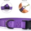 DOG COLLAR NYLON BASIC DOG COLLAR WITH BUCKLE FOR XS S M L AND XL DOG AND CAT