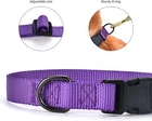 DOG COLLAR NYLON BASIC DOG COLLAR WITH BUCKLE FOR XS S M L AND XL DOG AND CAT