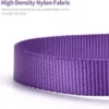 DOG COLLAR NYLON BASIC DOG COLLAR WITH BUCKLE FOR XS S M L AND XL DOG AND CAT