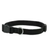 DOG COLLAR NYLON BASIC DOG COLLAR WITH BUCKLE FOR XS S M L AND XL DOG AND CAT