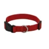 DOG COLLAR NYLON BASIC DOG COLLAR WITH BUCKLE FOR XS S M L AND XL DOG AND CAT