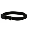 DOG COLLAR NYLON BASIC DOG COLLAR WITH BUCKLE FOR XS S M L AND XL DOG AND CAT