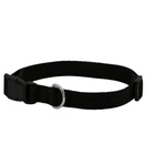DOG COLLAR NYLON BASIC DOG COLLAR WITH BUCKLE FOR XS S M L AND XL DOG AND CAT
