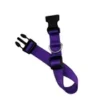 DOG COLLAR NYLON BASIC DOG COLLAR WITH BUCKLE FOR XS S M L AND XL DOG AND CAT