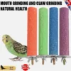 s-l1600-954.webp Bird Perch – Beak & Claw Trimming Perch for Parrots, Parakeets, Budgies, Conures