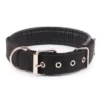 s-l1600-974.webp Solid Nylon Dog Collar Adjustable for Small Medium Large Dogs