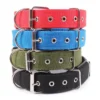 s-l1600-975.webp Solid Nylon Dog Collar Adjustable for Small Medium Large Dogs