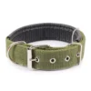 s-l1600-976.webp Solid Nylon Dog Collar Adjustable for Small Medium Large Dogs