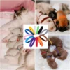 s-l1600-985.webp 5pcs Puppy ID Collars Assorted Colors Whelping Collars Newborn Dog Kittens Band