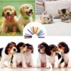 s-l1600-986.webp 5pcs Puppy ID Collars Assorted Colors Whelping Collars Newborn Dog Kittens Band