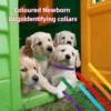 s-l1600-987.webp 5pcs Puppy ID Collars Assorted Colors Whelping Collars Newborn Dog Kittens Band