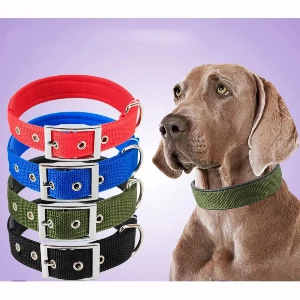 s-l1600-990.webp Solid Nylon Dog Collar Adjustable for Small Medium Large Dogs