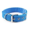 s-l1600-994.webp Solid Nylon Dog Collar Adjustable for Small Medium Large Dogs