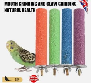 s-l400-179.jpg Bird Perch – Beak & Claw Trimming Perch for Parrots, Parakeets, Budgies, Conures