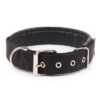 s-l400-182.jpg Solid Nylon Dog Collar Adjustable for Small Medium Large Dogs