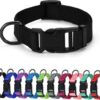 DOG COLLAR NYLON BASIC DOG COLLAR WITH BUCKLE FOR XS S M L AND XL DOG AND CAT